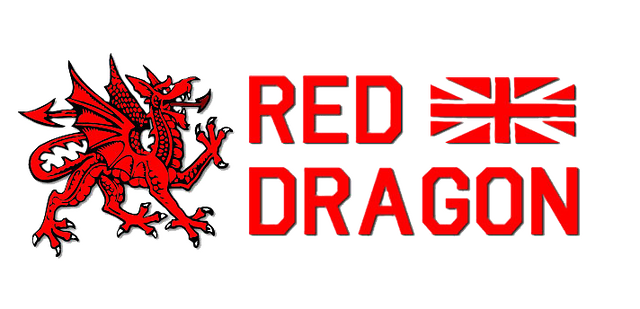 red-dragon-slide